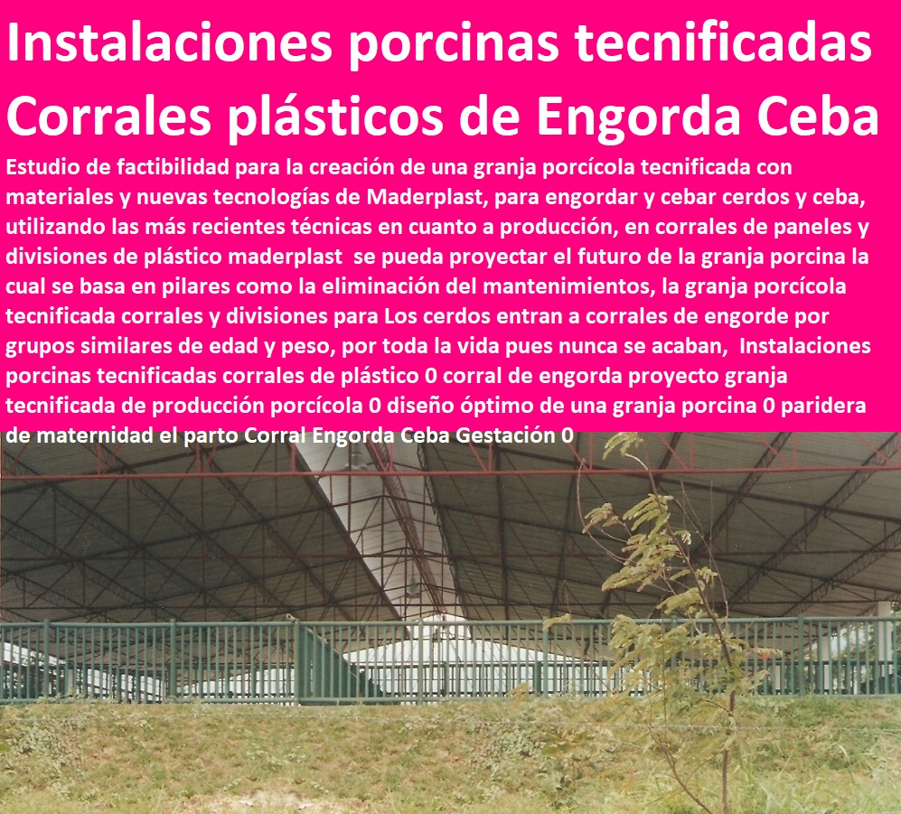 Instalaciones porcinas tecnificadas corrales de plástico 0 corral de engorda proyecto granja tecnificada de producción porcícola 0 diseño óptimo de una granja porcina 0 paridera de maternidad el parto Corral Engorda Ceba Gestación 0 Instalaciones porcinas tecnificadas corrales de plástico 0 lechonera, destete, jaula pre ceba porcinos, corraleja, ceba, engorde cerdos, porqueriza cría de lechones, pisos jaulas comederos, porcicultura jaulas, corrales, parideras, porcinas corral, gestación cerdas, parto cerda, corral de engorda proyecto granja tecnificada de producción porcícola 0 diseño óptimo de una granja porcina 0 paridera de maternidad el parto Corral Engorda Ceba Gestación 0